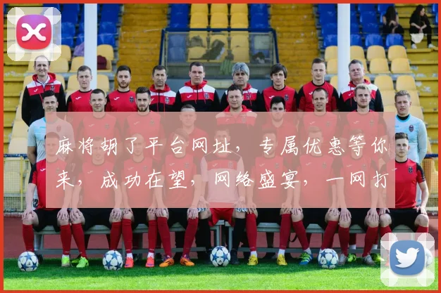 麻将胡了平台网址，专属优惠等你来，成功在望，网络盛宴，一网打尽