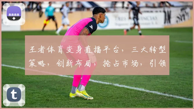 王者体育变身直播平台，三大转型策略，创新布局，抢占市场，引领行业潮流