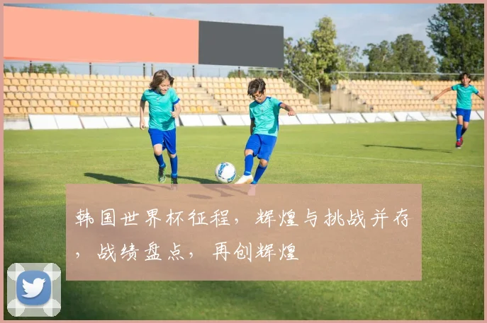 韩国世界杯征程，辉煌与挑战并存，战绩盘点，再创辉煌