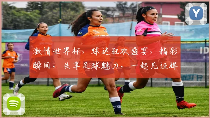 激情世界杯，球迷狂欢盛宴，精彩瞬间，共享足球魅力，一起见证辉煌
