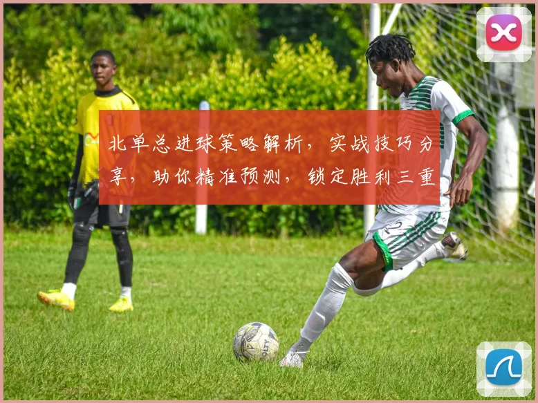 北单总进球策略解析，实战技巧分享，助你精准预测，锁定胜利三重奏